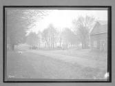 [horse & wagon, auto country road]