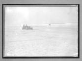 [auto race at beach]