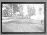 [auto racing on country road]