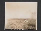 [Combat Engr. tossing out a grappling hook to pull barbed wire loose and thereby set off any booby traps before the Bangalore torpedo man go to wire on the wire.  7th Engr. BN., 5th Inf. Div., near Dundrum Co. Down, Nothern Ireland]