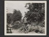 [American machine gun crews and riflemen take cover behind hedgerows as they blast out remaining German snipers, somewhere in France. St Ouen des Besaces, France.]