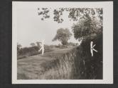[An American task force advances near Coudray in the drive which liberated Angers, France.]