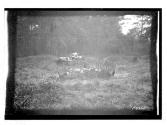 [auto racer stopped by grave site]