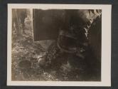 [Remains of ambulance driver who tried to escape when the clearly marked ambulance he was driving was straffed by (accrding to eye witnesses) German pilotted P 47's. Patients were also killed.   5th. Med. BN., 5th, Inf., Div., Gonbrange, Luxembourg. ]