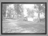 [auto racing]