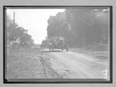 [autos driving on country road]