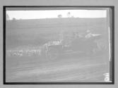 [auto tour in country "Pilot Reo"]