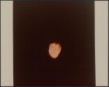[Jupiter's satellite Amalthea]