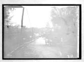 [auto tour driving on country road]
