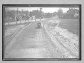 [auto racing "#8"]
