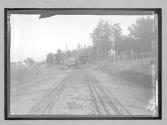 [two autos on country road]