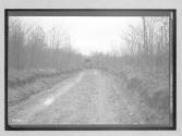 [Auto on country road]
