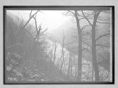 [view of river]
