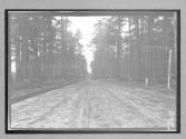 [country road]