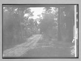 [country road with a bridge]