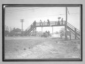 [auto racing "#6"]
