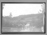 [auto crossing river]
