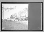 [auto and horse & wagon on country road]
