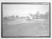 [auto racing "#2"]