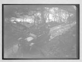 [auto driving along river "NY38773"]