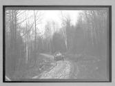[auto driving on country road "NY38773"]