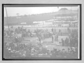 [Vanderbilt Cup 1911]