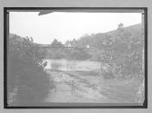 [river crossing]