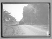 [auto driving on country road]
