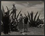 [Guide translating while Mexican boy stands on top of large plants and talks to three American women]