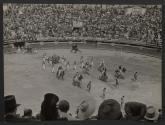 Tourists at the bull fights