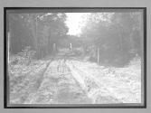 [rutted country road]