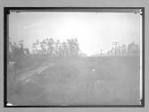 [country road and fields]