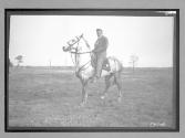 [man on horse]
