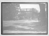 [auto racing "#4"]