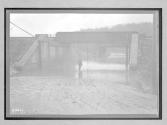 [flooded road beneath bridge]
