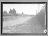 [country road]