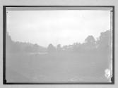 [farmlands with cows]