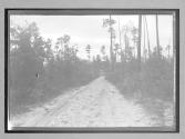 [country road]