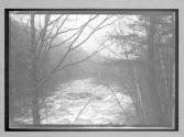[river]