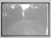 [country road]