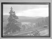 [auto driving near river "NY38773"]