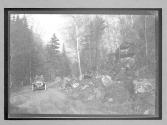 [auto driving on country road "NY38773"]
