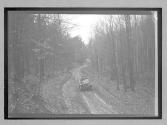 [auto driving on country road "NY38773"]