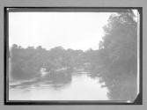 [river]