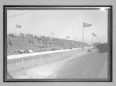 [spectator stands at track]