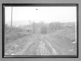 [country road]