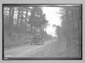 [auto driving on country road]
