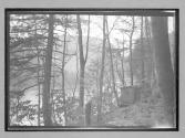[latrine in woods]