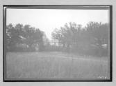 [meadow]