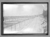 [racetrack grounds]